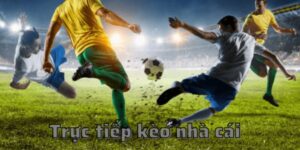 Giải mã kèo nhà cái 5