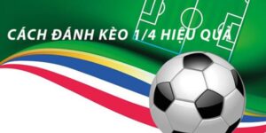 Cách đọc kèo chấp chính xác