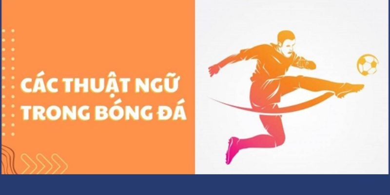 Thuật Ngữ Bóng Đá Phổ Biến Và Tầm Quan Trọng Trong Cá Cược